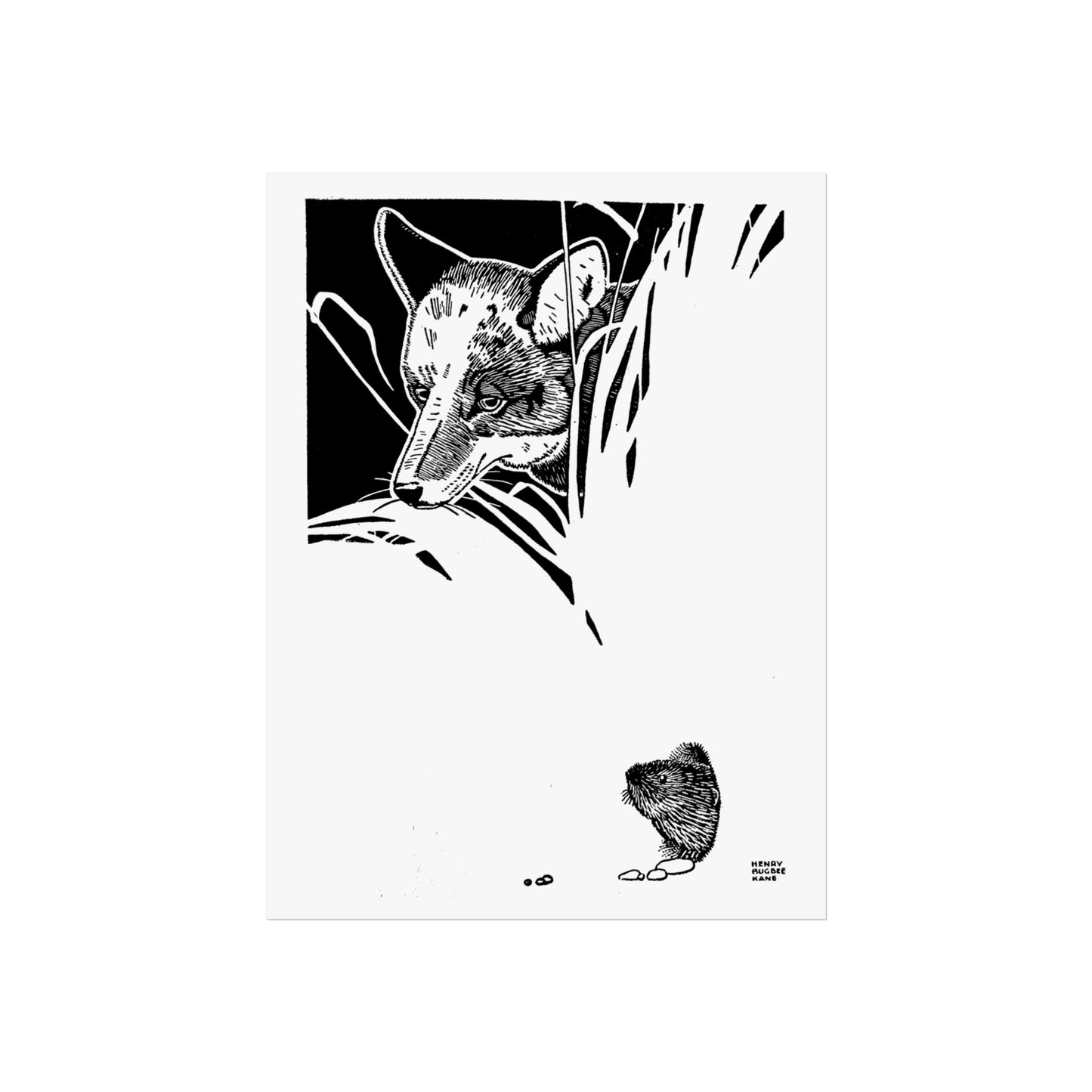 Coyote Print