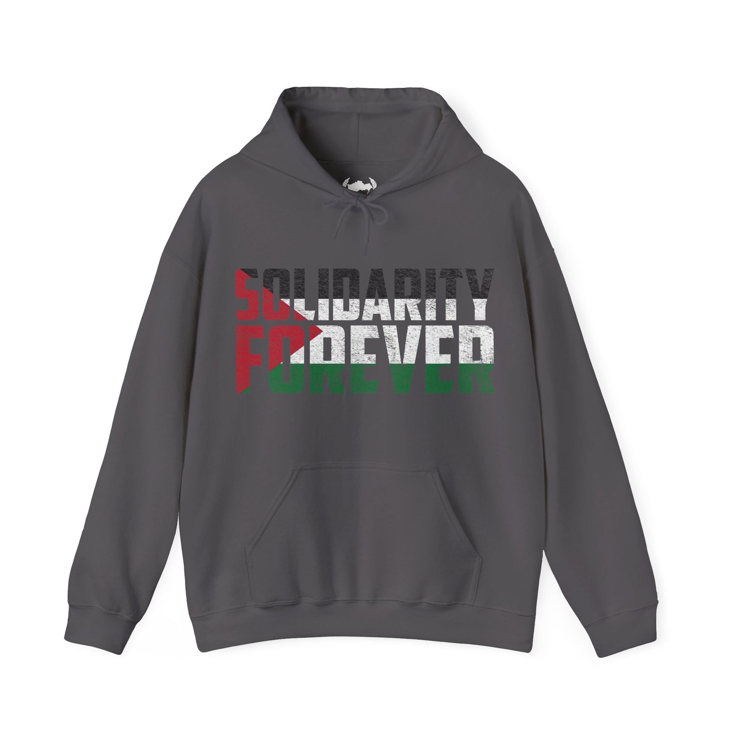 Palestine - Solidarity Forever Hoodie