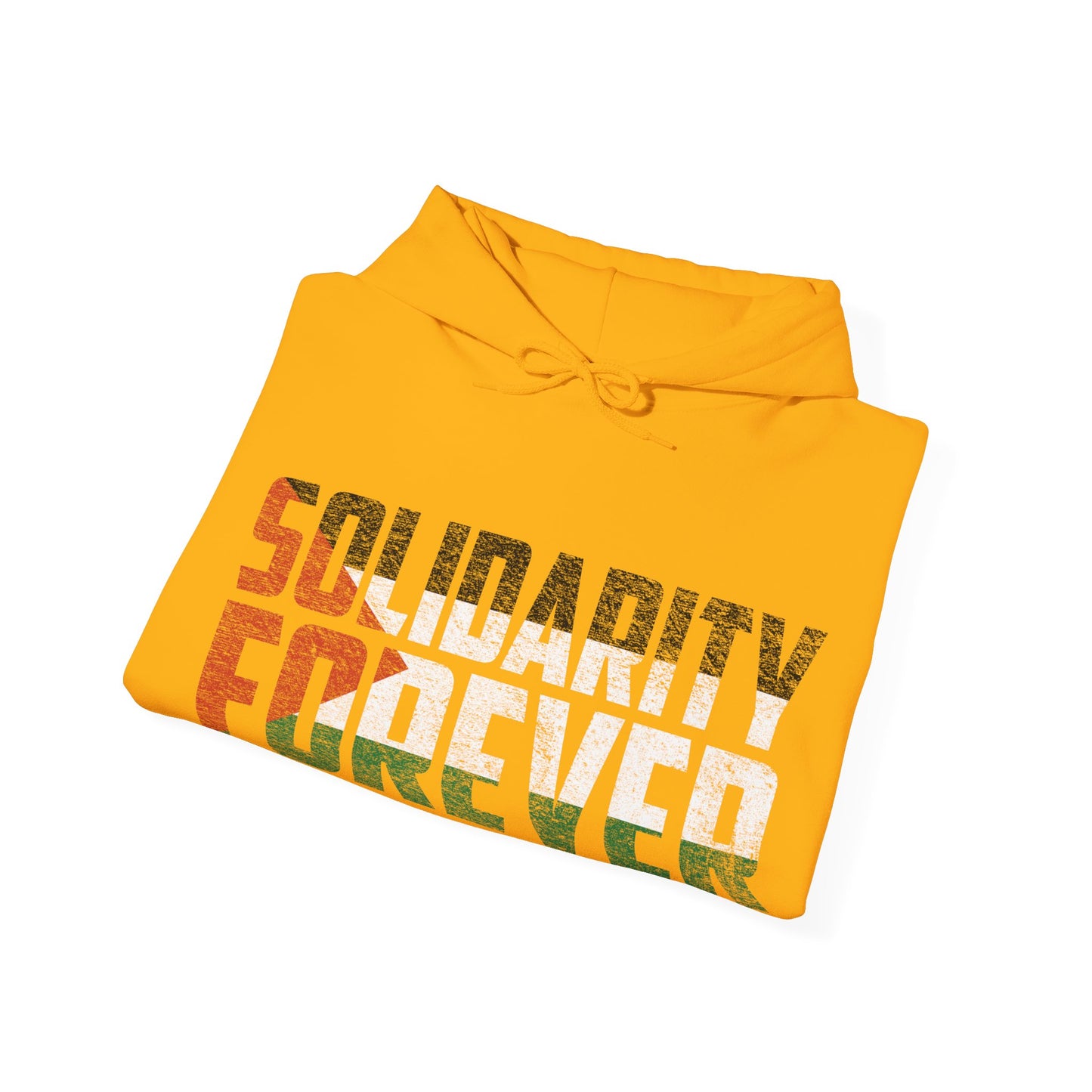 Palestine - Solidarity Forever Hoodie
