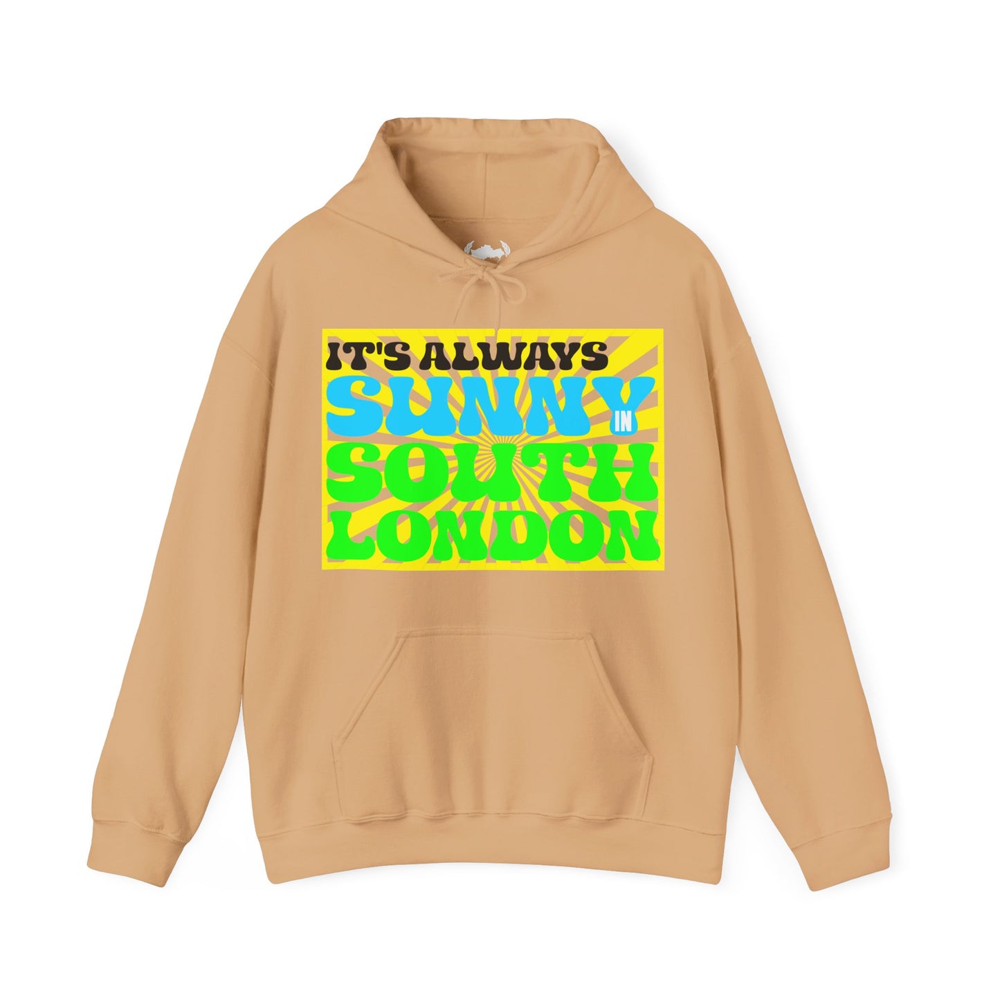 It's Always Sunny in South London Hoodie