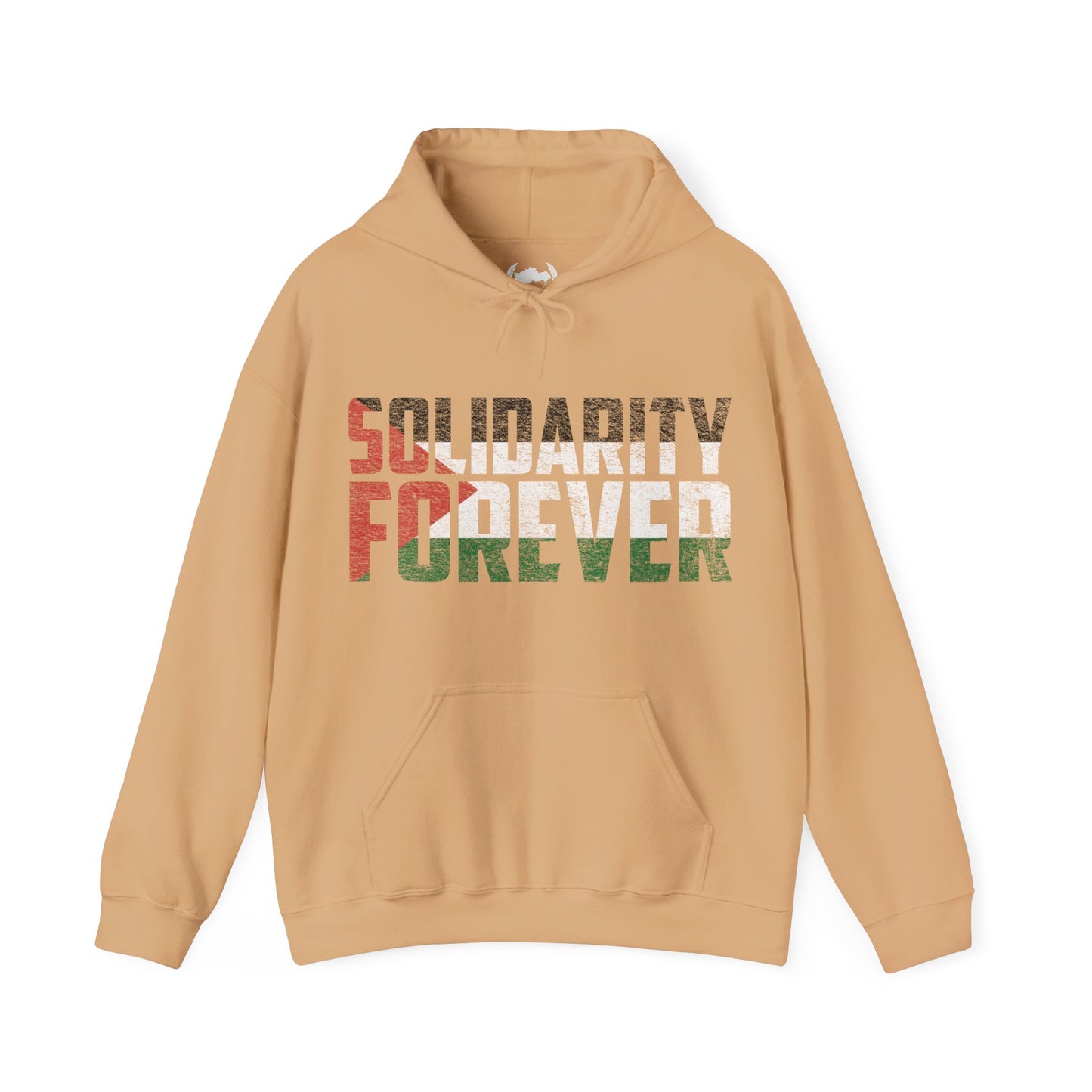 Palestine - Solidarity Forever Hoodie