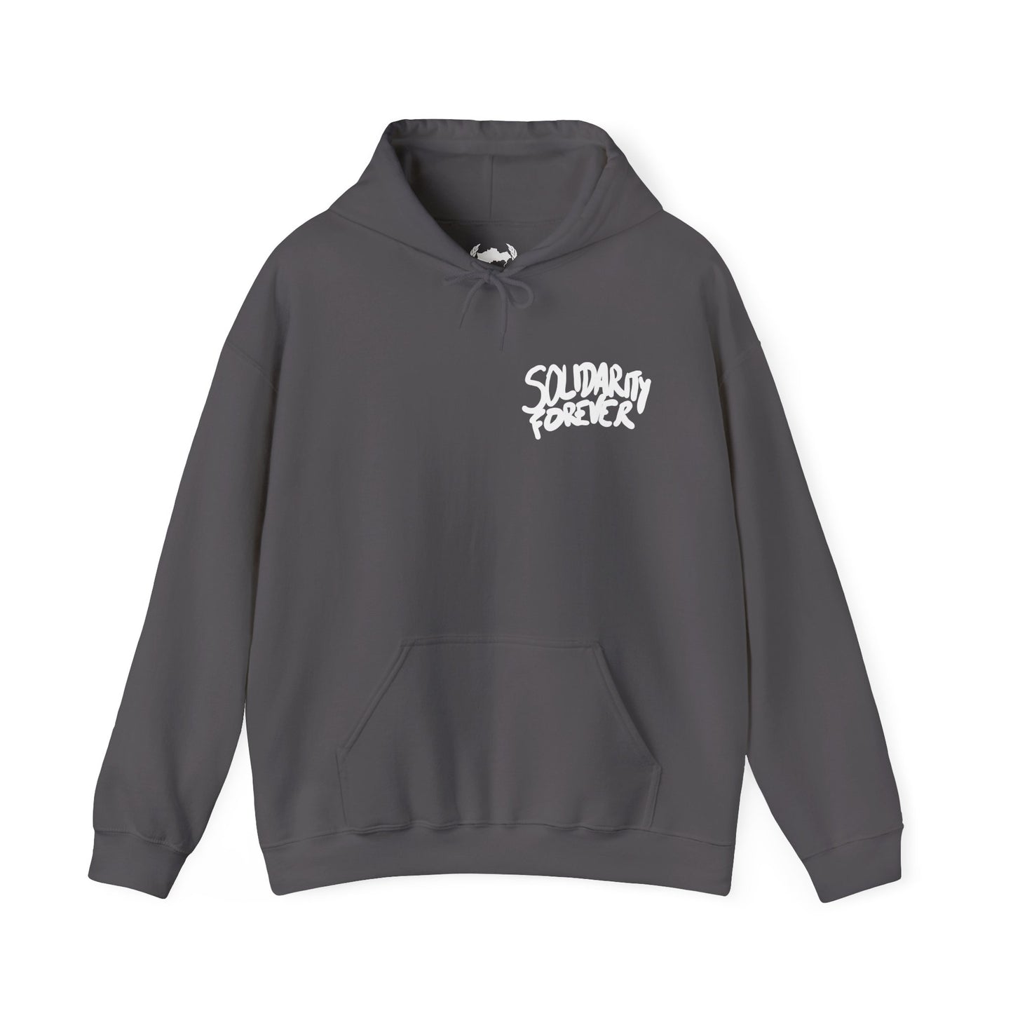 Solidarity Forever Hoodie