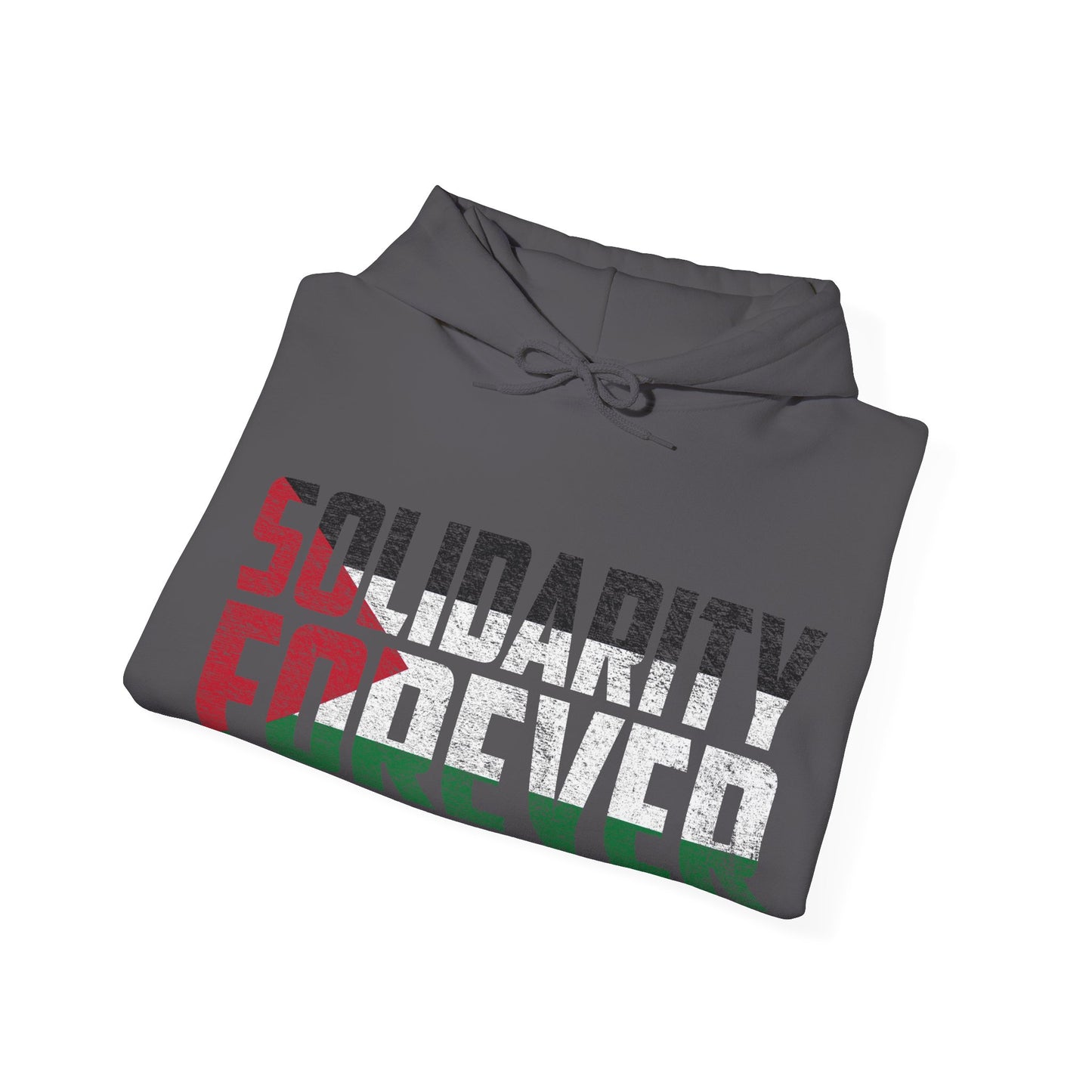 Palestine - Solidarity Forever Hoodie