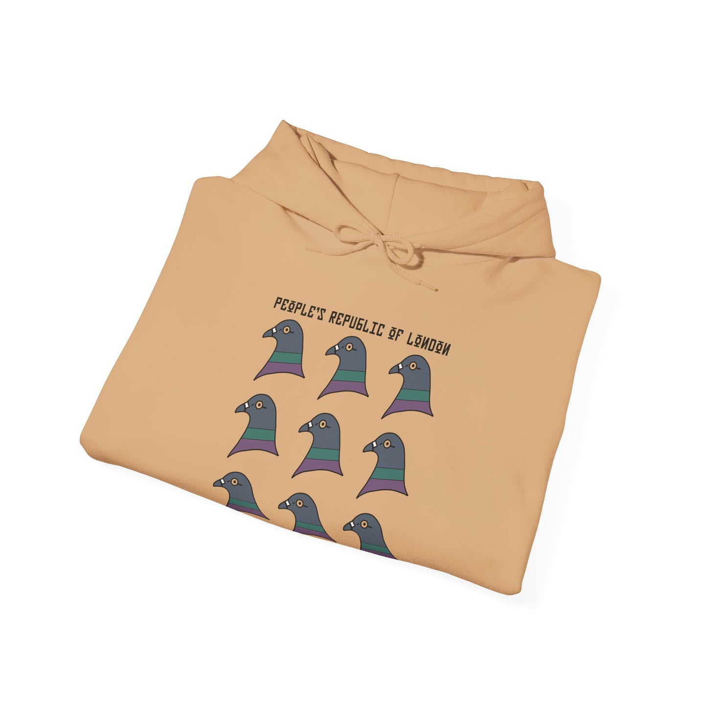 1st Aviation Brigade Hoodie