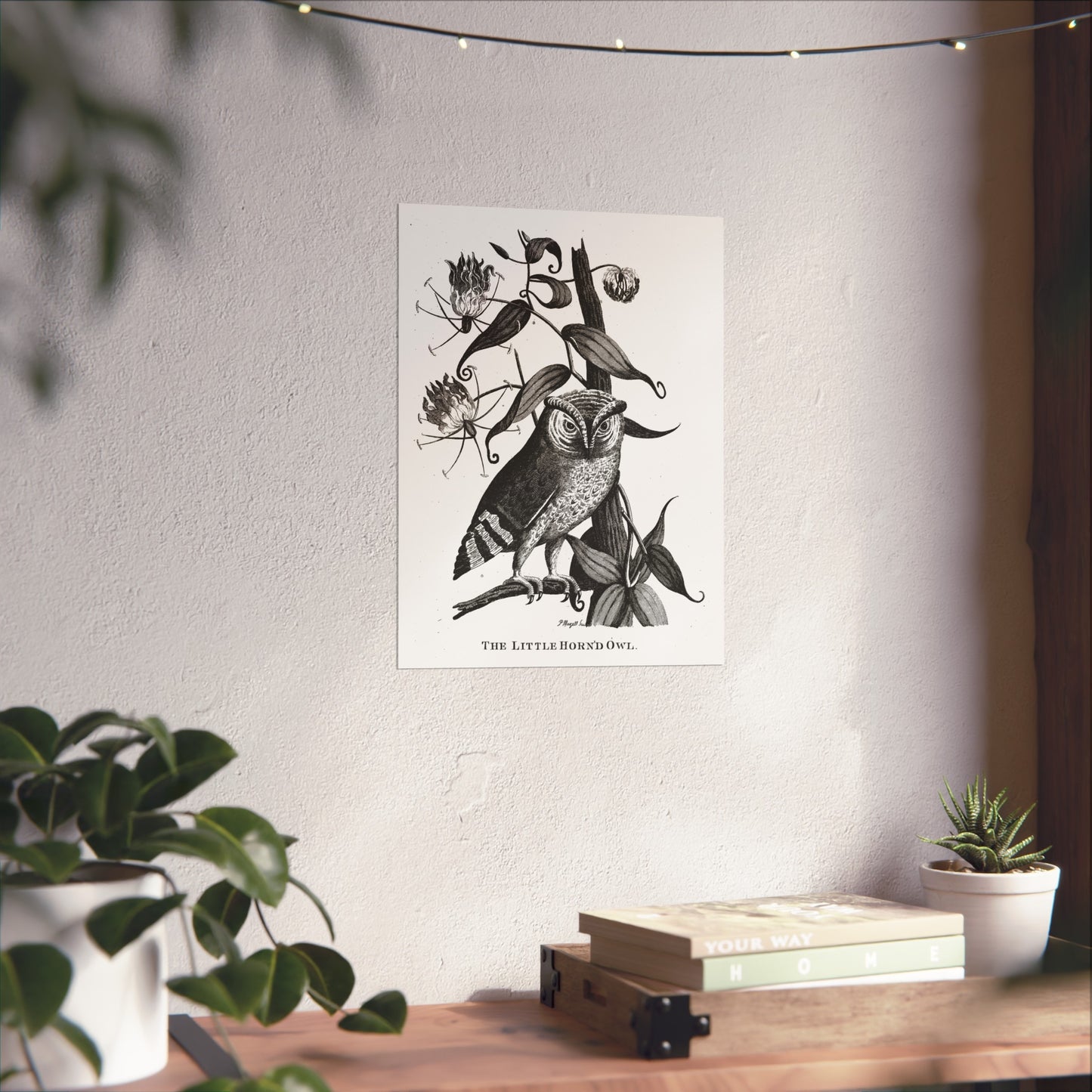 Little Horned Owl Print