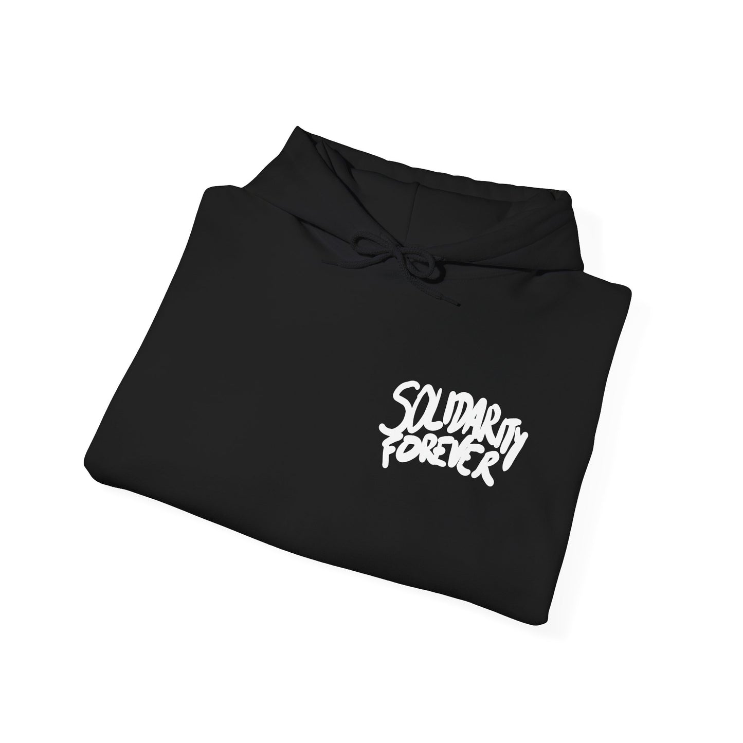 Solidarity Forever Hoodie