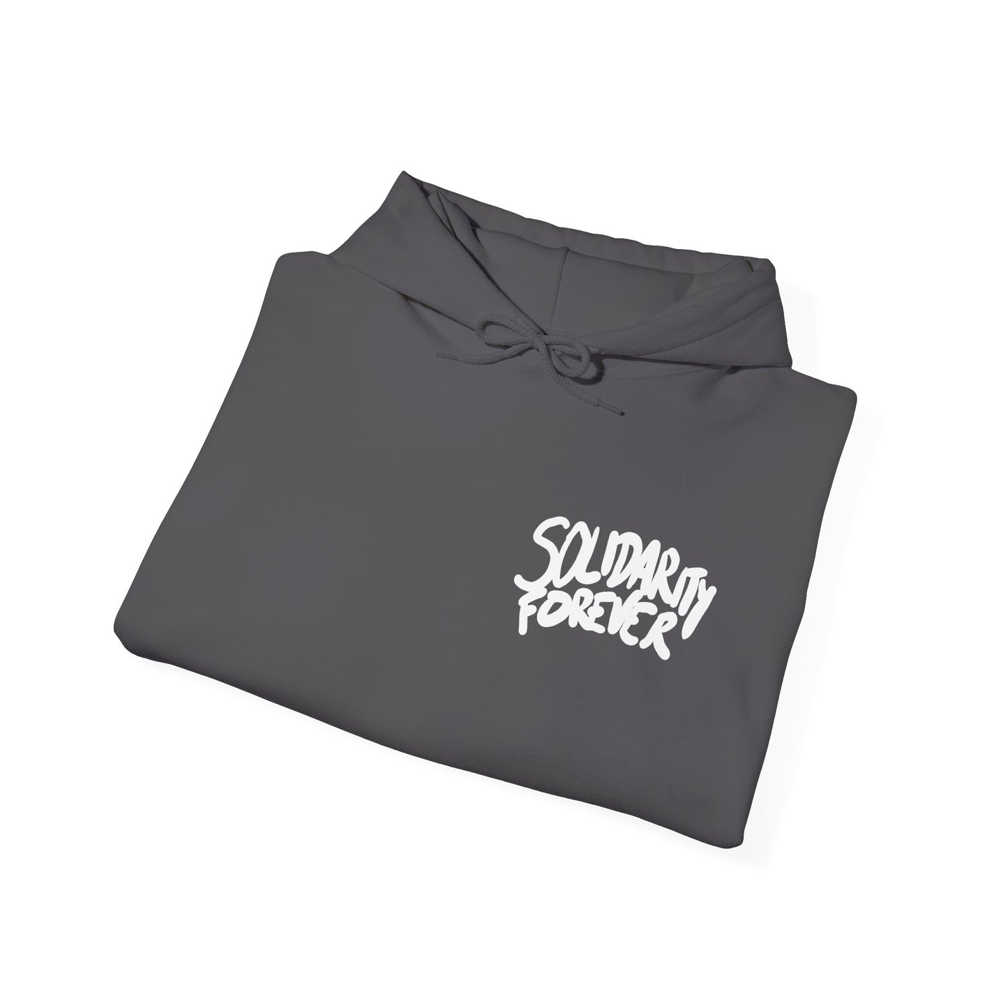 Solidarity Forever Hoodie