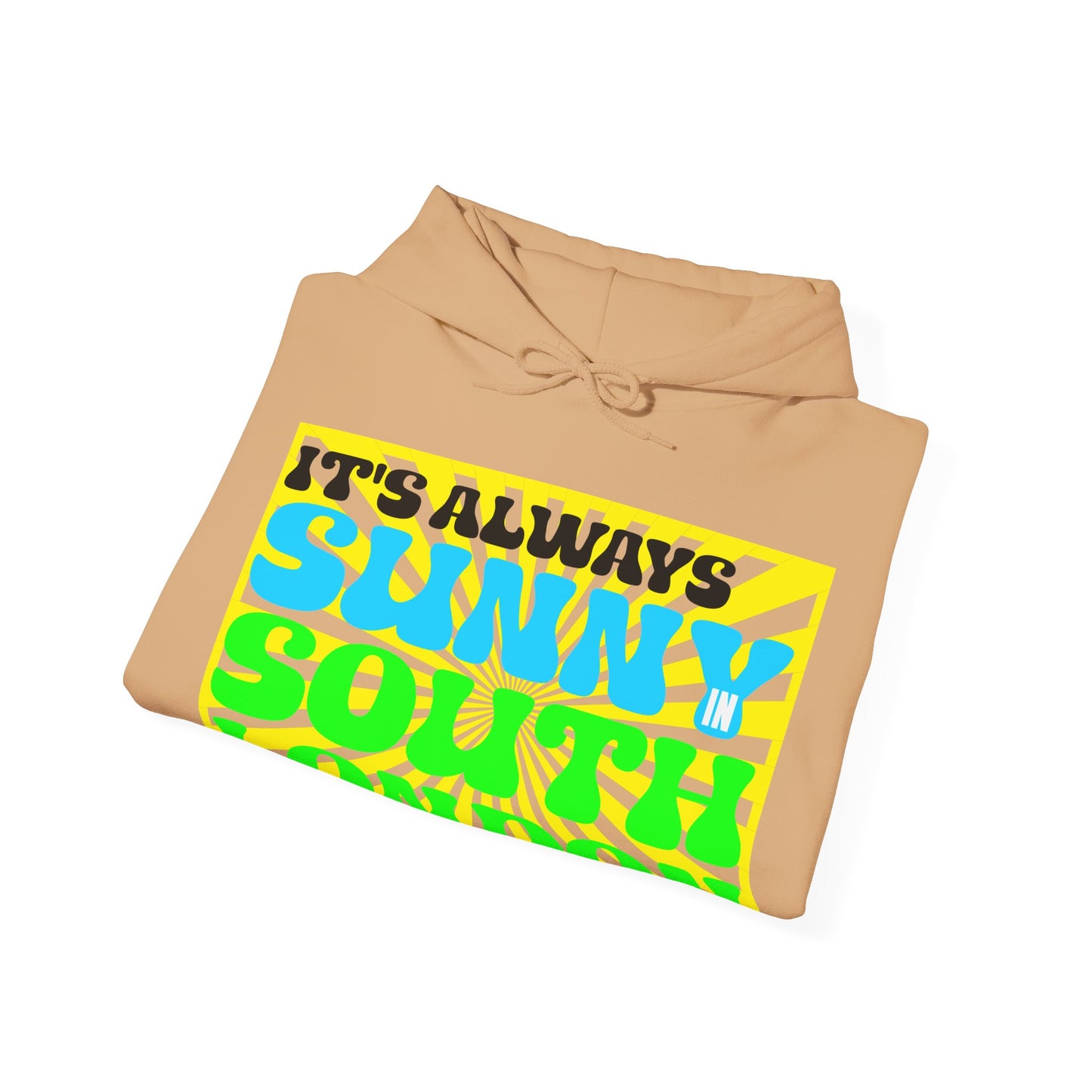 It's Always Sunny in South London Hoodie