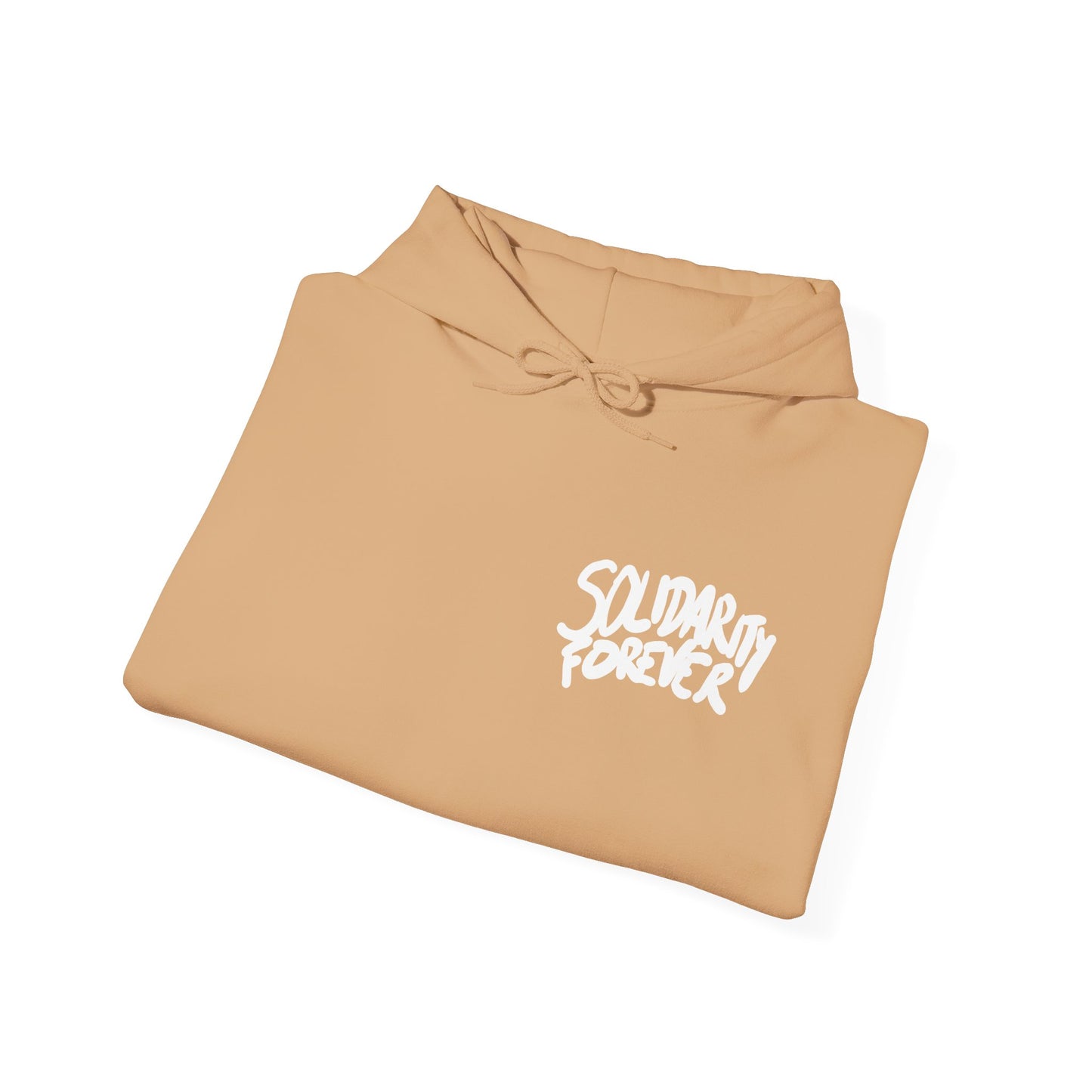 Solidarity Forever Hoodie