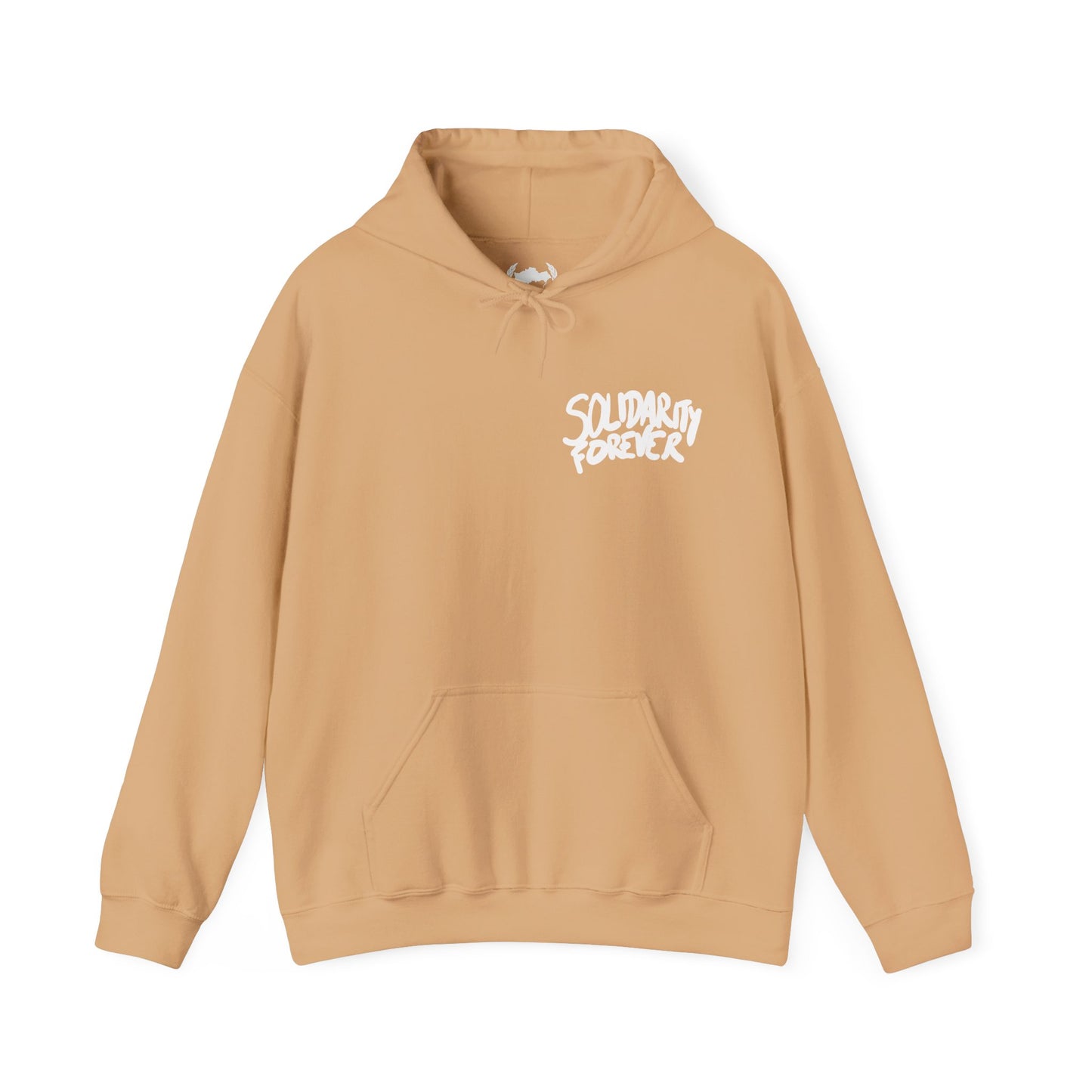 Solidarity Forever Hoodie