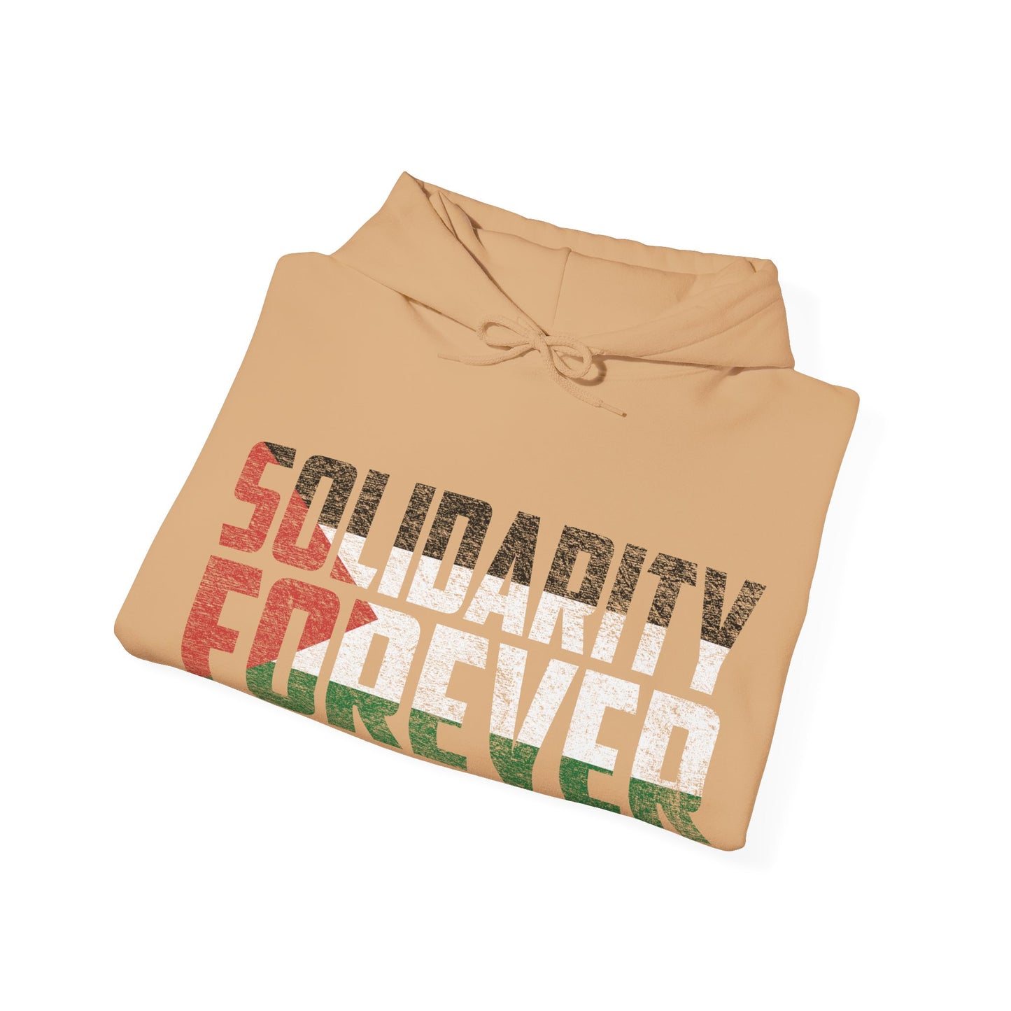Palestine - Solidarity Forever Hoodie