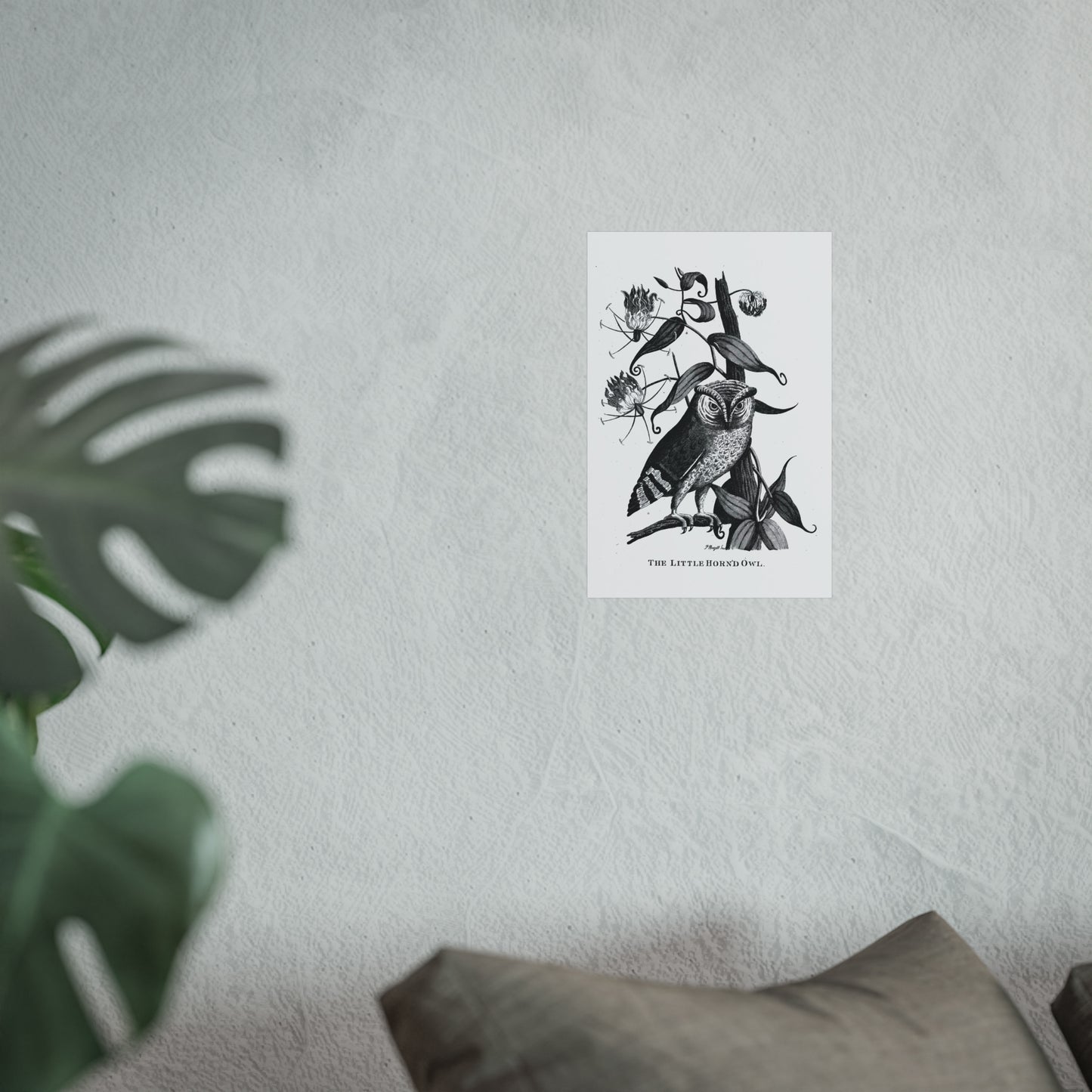 Little Horned Owl Print